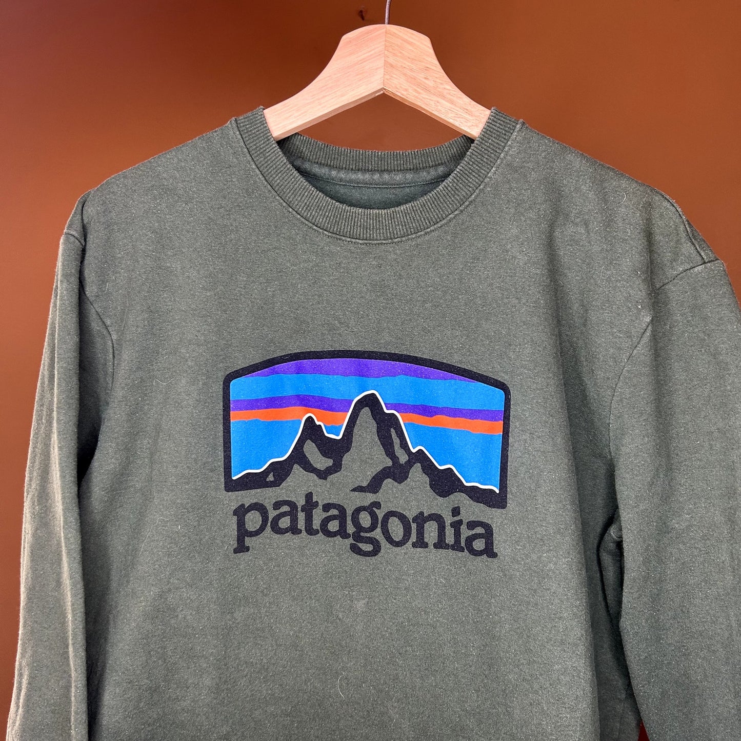 Patagonia Green Crewneck Medium