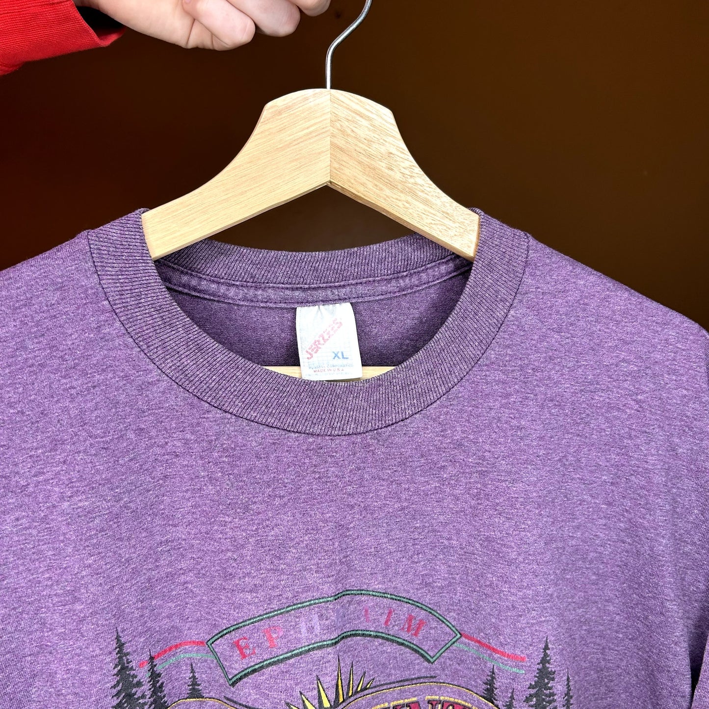 Vintage 90s Purple Door County T-Shirt XL