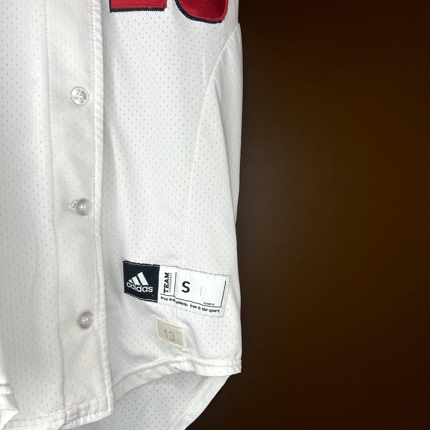 Wisconsin Badgers Softball Jersey #20