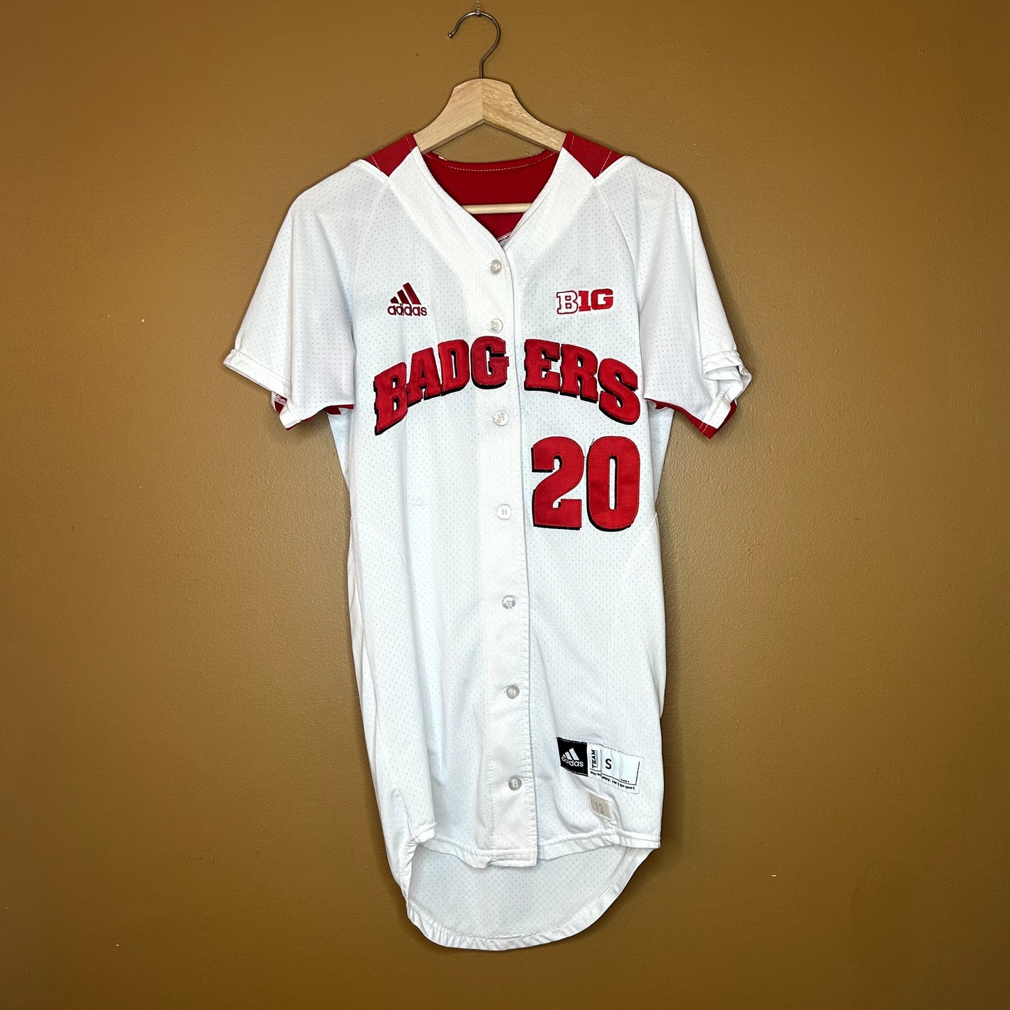 Wisconsin Badgers Softball Jersey #20