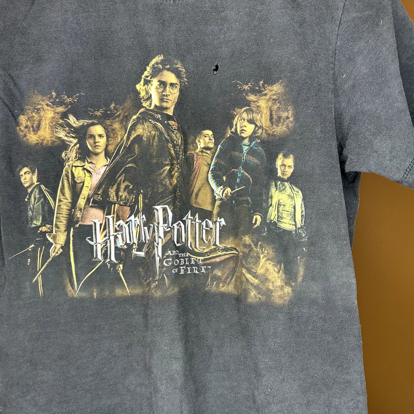 Y2K Harry Potter & The Goblet Of Fire Movie T-Shirt