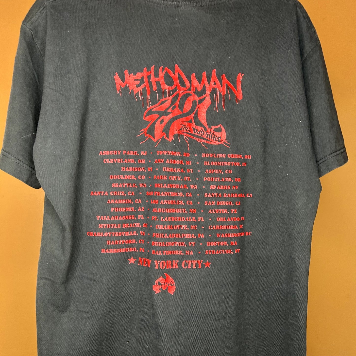 Y2K Wu Tang Concert The Day 421 Tour T-shirt