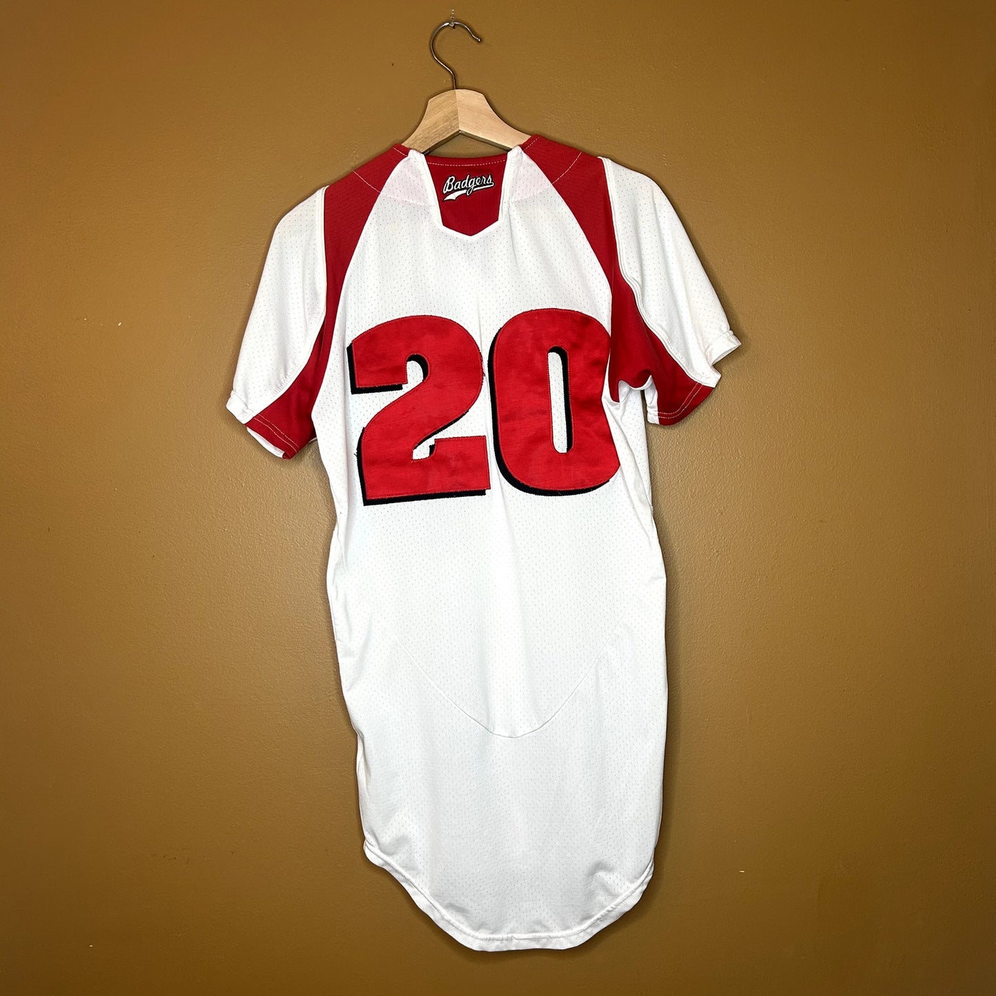 Wisconsin Badgers Softball Jersey #20
