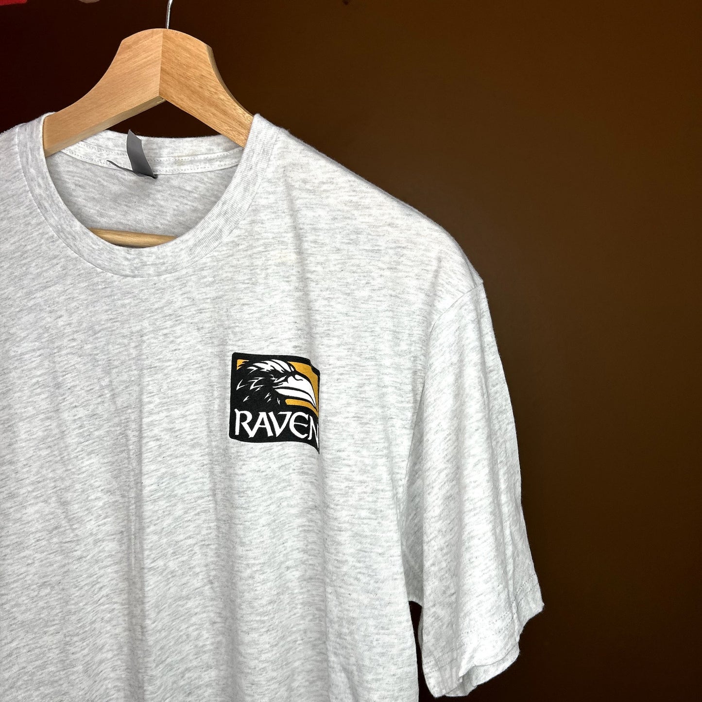Modern Raven Softwares Gray T-Shirt Large COD
