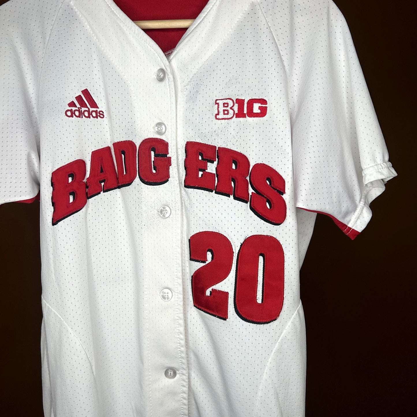 Wisconsin Badgers Softball Jersey #20