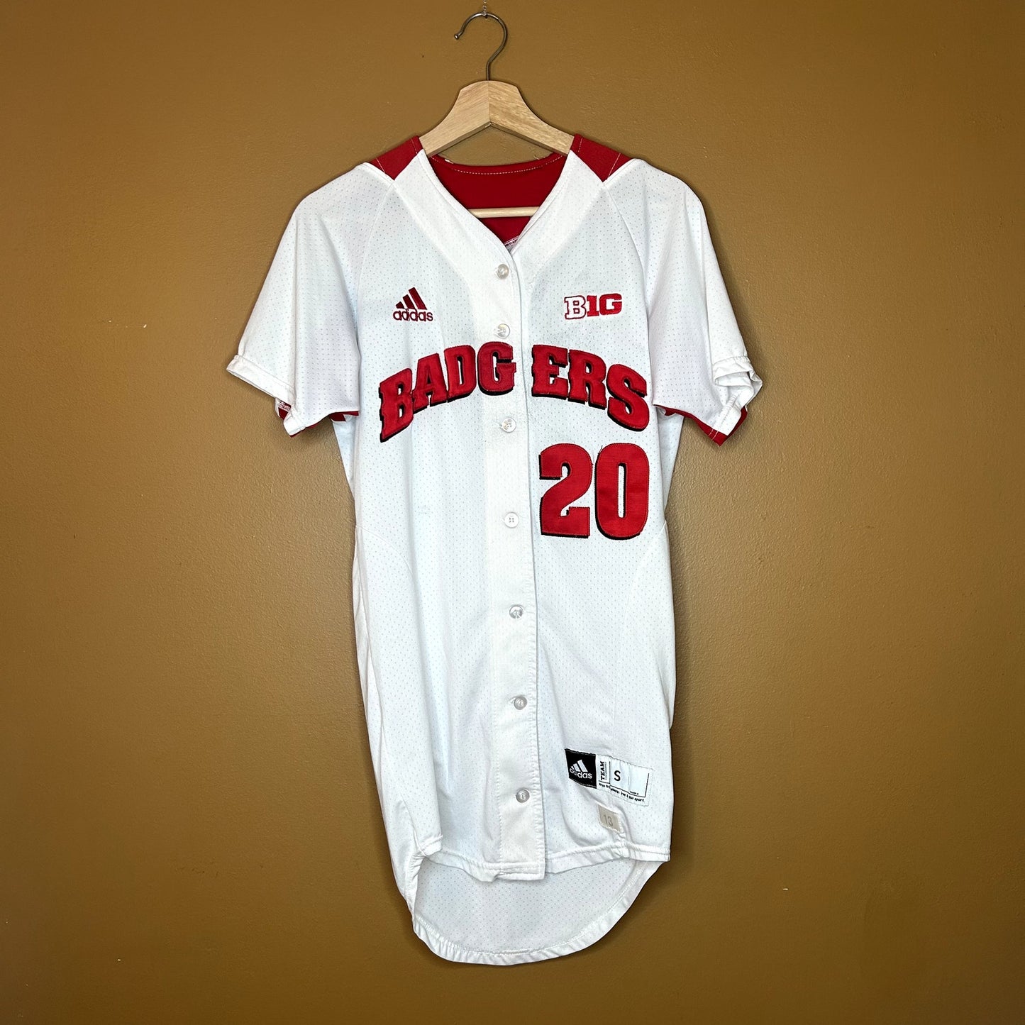 Wisconsin Badgers Softball Jersey #20