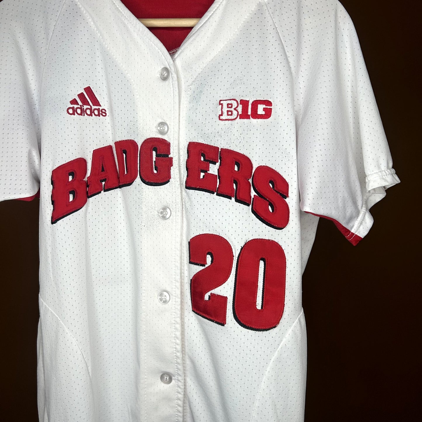 Wisconsin Badgers Softball Jersey #20