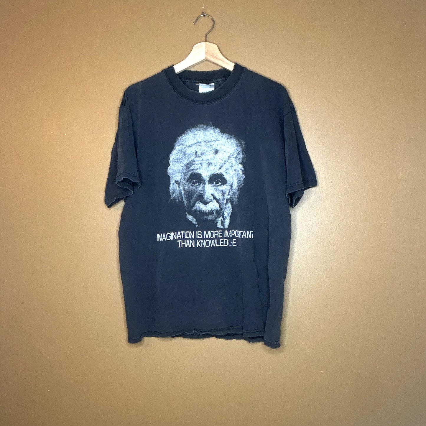 Vintage 90s Albert Einstein Imagination Fader Large