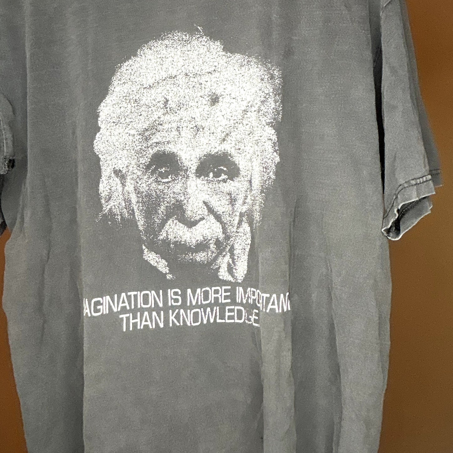 Vintage 90s Albert Einstein Imagination Fader Large