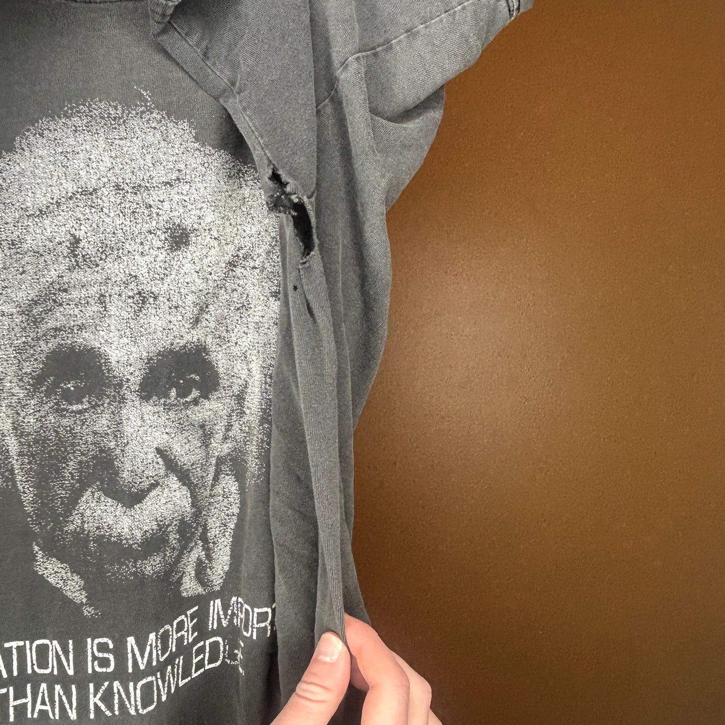 Vintage 90s Albert Einstein Imagination Fader Large