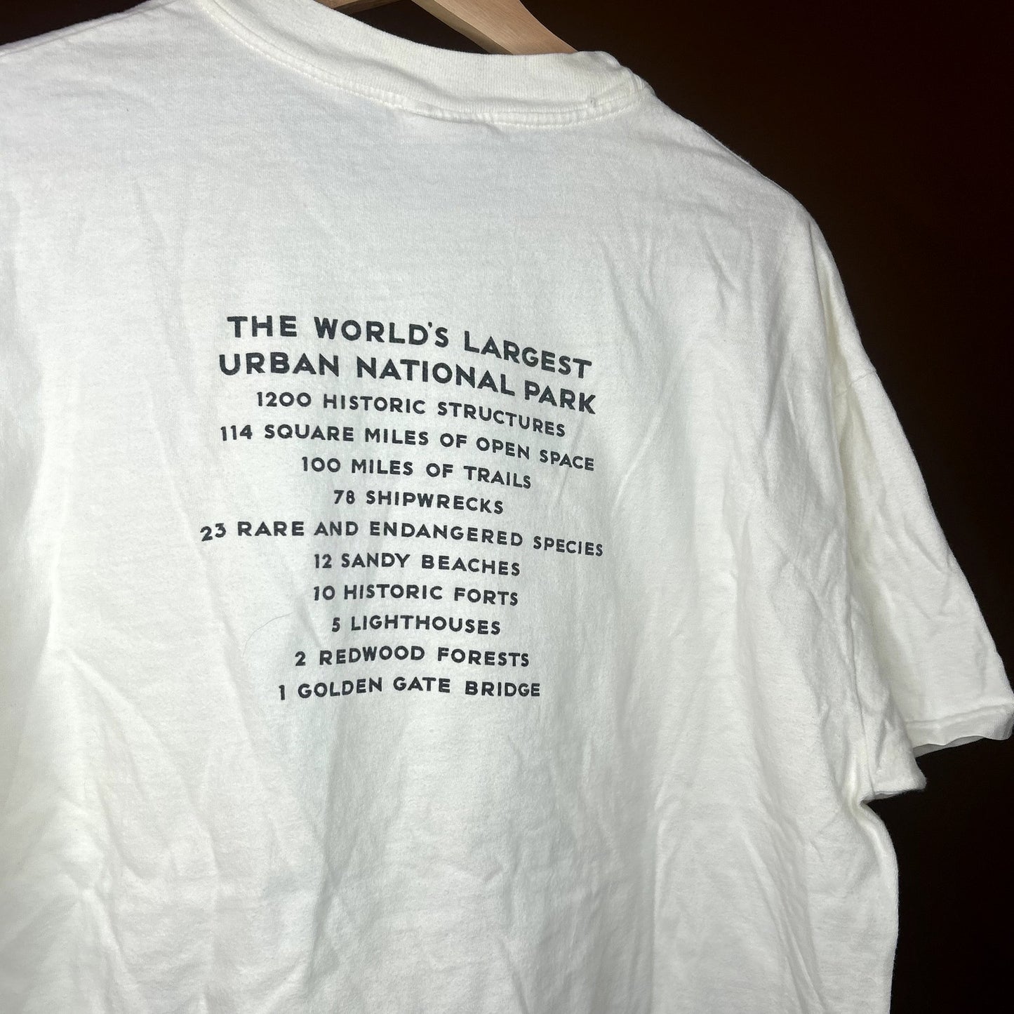 Vintage Golden Gate National Parks T-Shirt