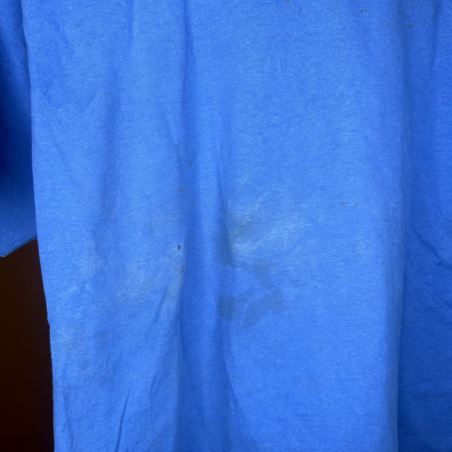 Vintage Blue Duck Head Graphic T-Shirt