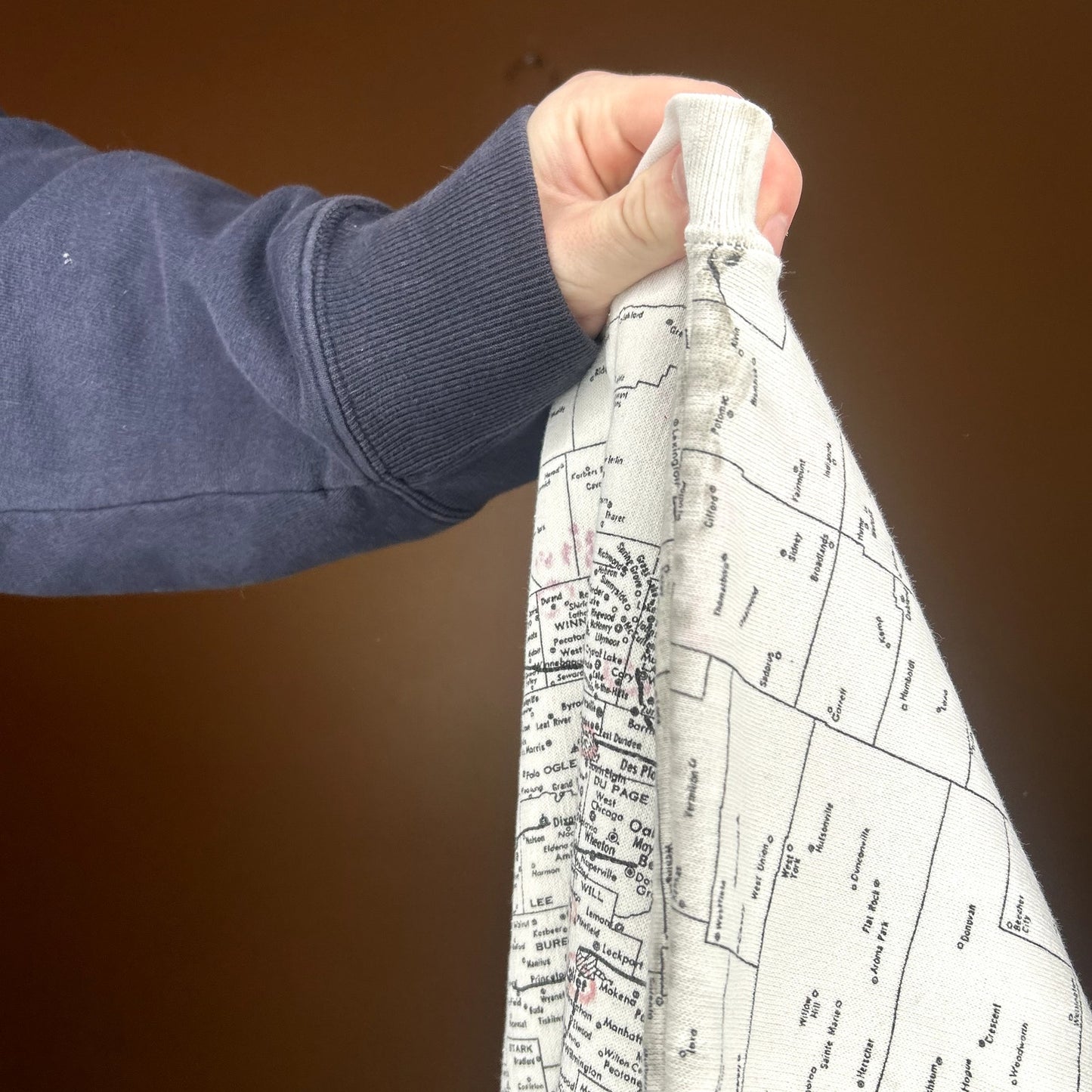 Vintage 90s Illinois Map Crewneck Large