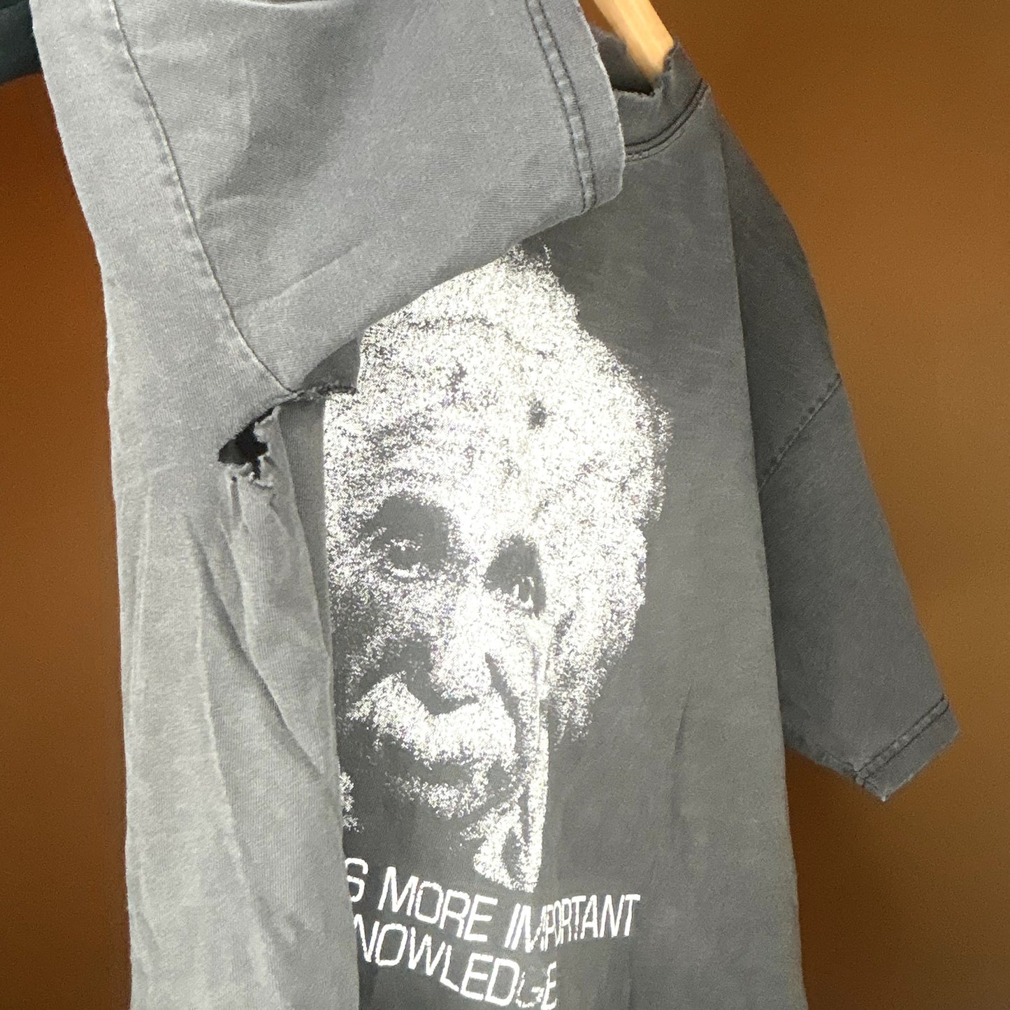 Vintage 90s Albert Einstein Imagination Fader Large