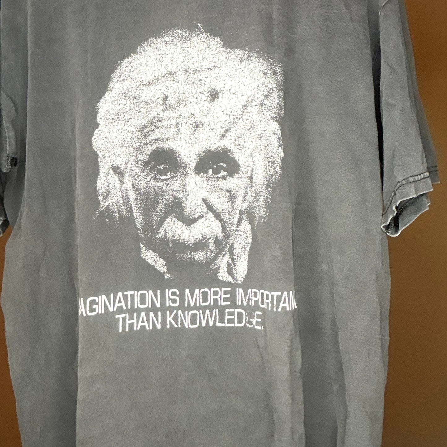 Vintage 90s Albert Einstein Imagination Fader Large